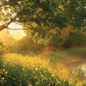 TOMS DESERT LACE UP WEDGE BOOTIE.  BLACK SUEDE.  SIZE 7